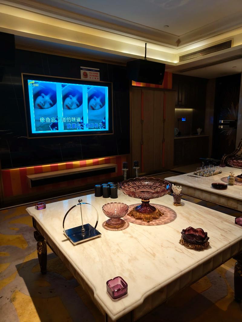 自贡商务ktv优选商务ktv预订指南-自流井区ktv预订